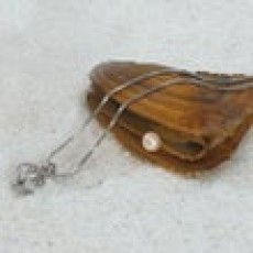 Freshwater (+$10.80)